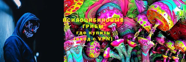 PSILOCYBIN Алексеевка