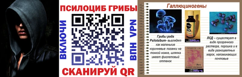 даркнет телеграм Звенигово Галлюциногенные грибы MAGIC MUSHROOMS